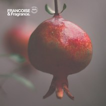 [프랑스문화권] 프랑스와즈 유기농 석류씨 오일, 1L