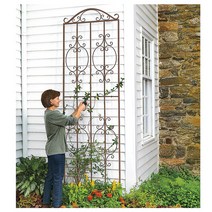 테라스꾸미기 정원가꾸기 장미넝쿨 유럽풍 넝쿨지지대 대형 식물 지지대, 블랙  하부