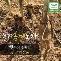 2021년 가을수확 인삼 사포닌 면역력 기력회복 5년근햇수삼 1채(750g) 가정용 선물용 햇수삼(인삼), 1box, 햇수삼 선물용 750g 7-8뿌리(기본선물포장)
