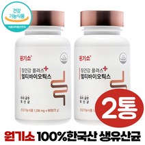올인원 유산균 츄어블 낙산균 당화균 미야이리균 곡물 발효효소 프로바이오틱스 장건강 국산 생유산균