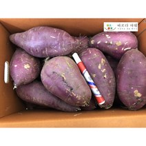 바르다야채 튀김용 요리용 꿀고구마(왕) 3kg 5kg 10kg