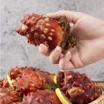 산지직송 통영 생물 멍게 손질 깐멍게 활멍게 500g 1kg 2kg 3kg 횟감 깐횟감 직거래 냉동, 1_1. 활멍게 1kg