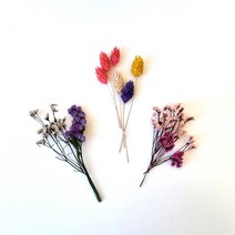 포장용 프리저브드/드라이 프리저브드 플라워 청첩장 답례품 선물 포장, 잎안개(버건디)_3ea