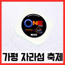 가평송어축제 원파워라인 송어 낚시줄, 1개