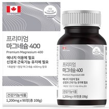 프리미엄 마그네슘 400 3개월분 흡수율이 좋은 산화 마그네슘 온가족 영양제, 1개, 1200mg