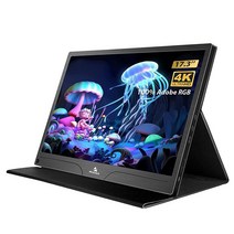 NexiGo 4K 휴대용 모니터 173인치 400니트 FreeSync 100 어도비 RGB HDR PS 디스플레이 OTG 확장 기능 듀얼 스피커 케어 스크린 노트북 PC맥콘솔PS5, 17.3 Inch