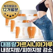 대용량 내장지방빼는 가르시니아식이섬유800mg 약 1년 식약처인증 물에타먹는다이어트 물에타먹는가루 다이어트티 HCA 체지방감소 탄수화물 지방합성 억제 분말 가루 파우더