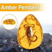 amber 삼엽충 암모나이트 삼엽충화석 곡옥 호박보석 동물화석 박제 곤충박제 타란튤라 전갈 호박반지 호박 반지 조개껍데기 천연 곤충 포함 호박색 발트 해 보석 펜던트 27