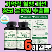 고3 수험생 기억력 강화 진코 머리 좋아지는 혈행 건강 뇌에 좋은 70대 할머니 기억력 감퇴 하체 혈액 순환 뇌세포 메모리 케어 뇌건강에 향상 두뇌에 집중력 혈관 관리 영양제 추천