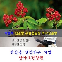 원조 접골탕(35일분):70팩