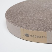 캣모나이트 리필 2개구매, 1개