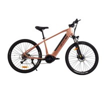 전동 전기 자전거 고속 전기 로드 바이크 알루미늄 프레임 자전거 7 단 산악 250W 36V 10Ah, 02 Gold, 01 250w