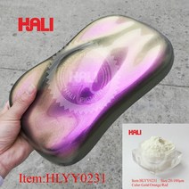 카멜레온 안료 진주 페인트 분말 10g HLYY0230 자동차 또는 공예의 색상 변경 DIY 아름다운 효과, 17 HLYY0231