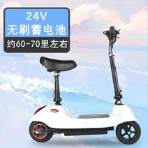 앉아서타는전동킥보드 접이식 성인용, 화이트24v-8인치런플랫타이어-약60-70마일