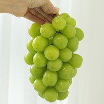 [추석선물세트] 김천 샤인머스켓 일반포장 선물포장 1kg 2kg 3kg 4kg, 김천 샤인머스켓 1kg 2~3수(일반), 1박스