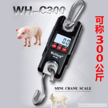 휴대용 전자저울 50kg 150kg 초정밀 스프링 용수철저울 소형 휴대용, 300kg개