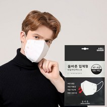 더 올바른 KF-AD 대형 마스크 개별포장 3중구조 황사 비말차단 MB필터 새부리형 10매, 중형, 블랙, 상세페이지 참조2