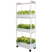 식물재배기 수경재배기 가정용 실내 채소 야채 상추, 3중 물순환 슈트