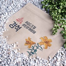 경석 가벼운 화분 분갈이흙 다육이 선인장 스투키 화산송이석 세립 소립 중립, 세립(2~3mm) 2L, 2000ml, 1개