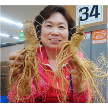 금산수삼시장 인삼즙 담금주 세척삼 오쿠홍삼용 난발삼 파지 효능 500g, 4-1. [추천+세척안함] 5~6뿌리 500g, 1개