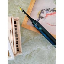 X3U 전동칫솔 Soushi 음파 전동 칫솔 셋트 부드러운, 반 고흐 레드