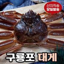 [당일발송] 영덕대게 생물 자숙 포항 구룡포 국내산, 1.특가 영덕대게 소 (9.1~9.5cm) 3미