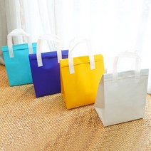 디더스트백 13 부직포 보냉백 10장 - 보냉팩 보온가방 아이스박스 인쇄가능, 2호_35X23(10장) 3.스카이블루