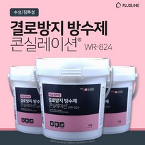 결로방지 방수제 콘실레이션 WR-824 곰팡이방지 곰팡이제거 가정용 1L, 콘실레이션 1개