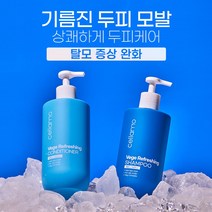 쎄라모 여름쿨링샴푸 탈모증상완화 베지 리프레싱 샴푸라인, 베지리프레싱샴푸