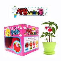 텃밭세트 꽃심기 꽃화분 사랑으로 크는꽃 선택가능(토마토키우기 강낭콩키우기 봉선화꽃키우기), 1개(봉선화 키우기)
