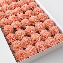 블루밍앤미 카네이션 비누꽃 1BOX(50P), 피치