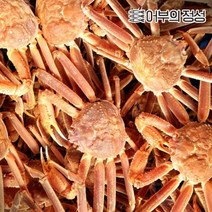 어부의정성 [어부의정성] 구룡포 박달대게 2kg내외 6미내외, 1. 활
