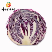 [우리가락]적양배추 1통, 단품