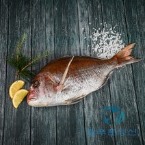 반건조 손질되어 편한 참돔 제사 국내산 여수 참돔 돔 도미 말린생선 손질 제수용생선, 35cm 1마리(33cm품절)