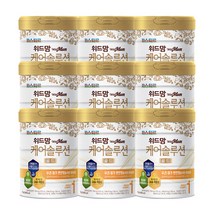 위드맘 케어솔루션 골드 1단계 750g X 9개