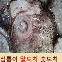 (쌍다리상회) 심퉁이 당일생물 (알도치 2마리) 통마리 또는 손질까지, 생물 알도치 2마리 통마리 생물