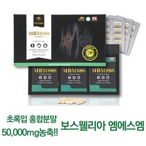 NEW 리바이탈 MBM888 초록홍합 6개월+3종사은품 / 고함량50000mg 비타민D MSM 보스웰리아, 3개
