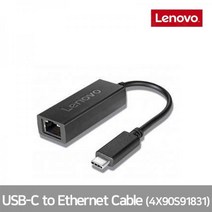 투원몰 프리미엄 레노버 이더넷 아답터 USB-C 타입 랜 젠더, 835680