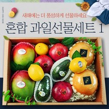 설 명절 혼합 과일선물세트 1 애플망고 배 아보카도 석류 프리미엄 과일선물박스 과일바구니 구정 과일선물, 명절 과일선물세트1