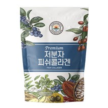 해나식품 저분자 피쉬콜라겐 300g, 1개