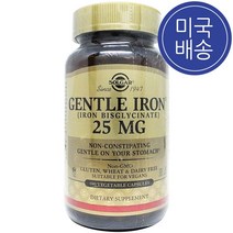 Solgar 솔가 젠틀 아이언 Gentle Iron 25mg 180 야채캡, 180정, 1병