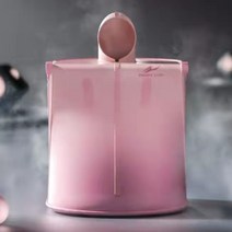 가정용 나혼자 1인용 접이식 이동식 건식 습식 스팀 사우나 기계 싸우나 찜질기 사우나기, 핑크 리모콘포함