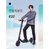 전동 킥보드 전기 접이식 퀵보드 휠 성인 스쿠터 듀얼, E22 화이트 클래식 22km 항속력, 36V