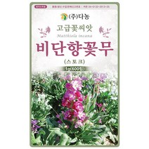 설악초 20립 - 초설초 야광초 야생화 씨앗 꽃씨 씨 꽃씨앗 야생화씨앗 고급꽃씨 고급꽃씨앗, 07_다농_비단향꽃무(스토크)(1g)