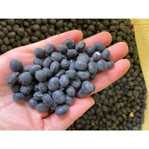 2022년 국산 서리태 검은콩 1kg 서리태 청자5호