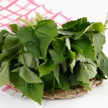 김해 향긋한 생방아잎 500g 나물 산지직송, 1개