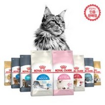 로얄캐닌 고양이 사료 1.2kg (400g 소포장 3개) 모음, 헤어볼케어 1.2kg (400g 3개)