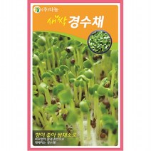 새싹경수채씨앗 12g, 단품