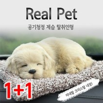1+1숯품은 강아지 제습 탈취인형 차량용 공기정화, 골든리트리버(미니)_판다(리얼)