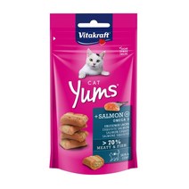 희동이네 고양이 습식 간식 비타크래프트 캣얌 40g 5종 택1 고단백 영양만점 부드러운 질감 무설탕 간식, 1개, 연어